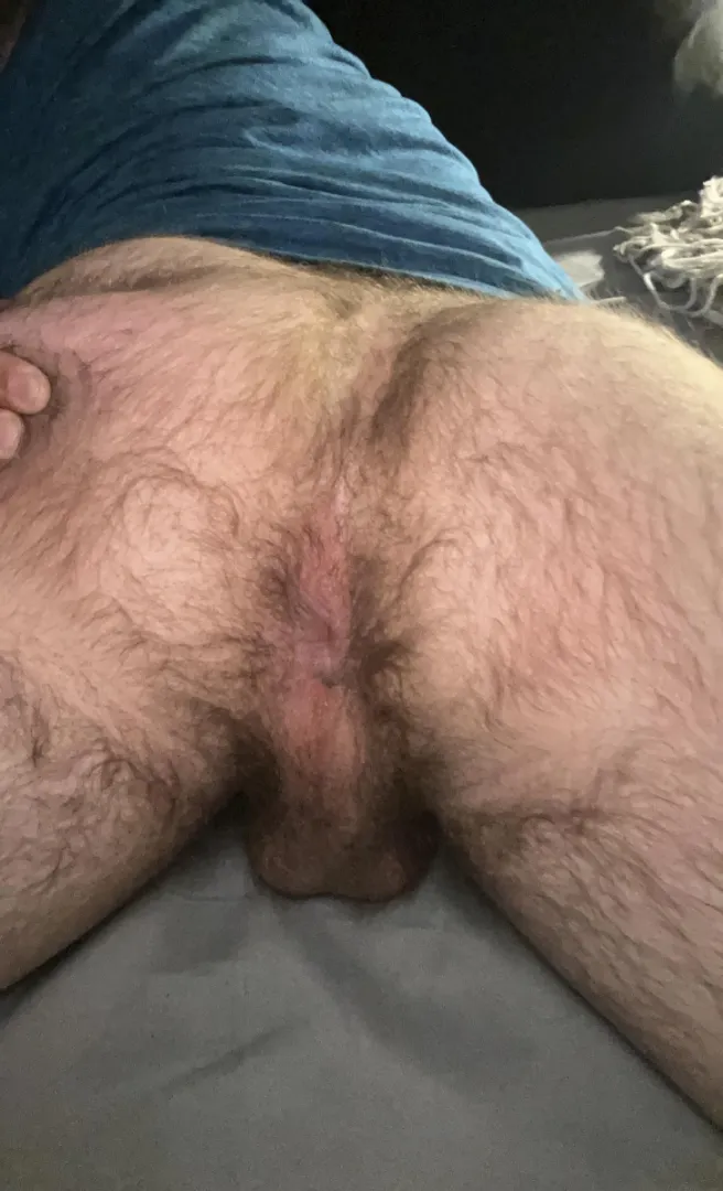 come sniff my butthole bro (26) posted by Accomplished_Comb360