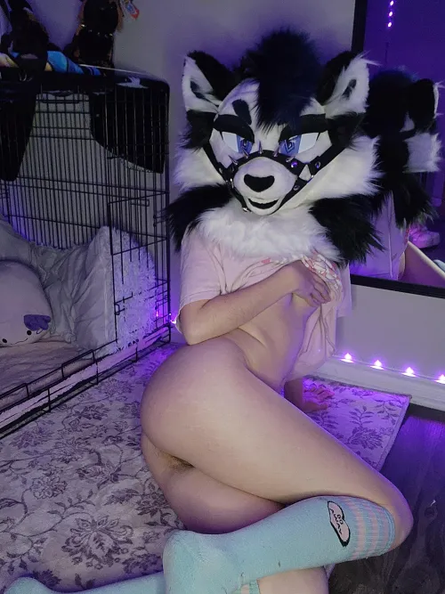 Come surprise me by AsheyPup_AD