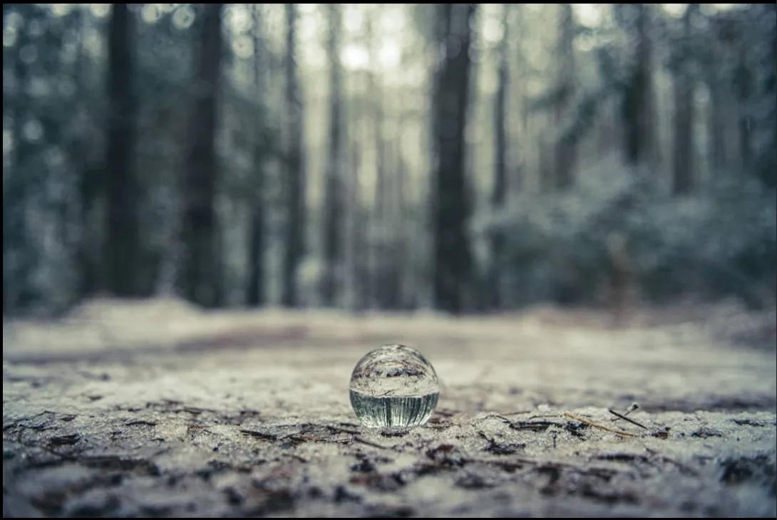 Congrats on 6k!! Read comments for instructions! posted by redyellowleather