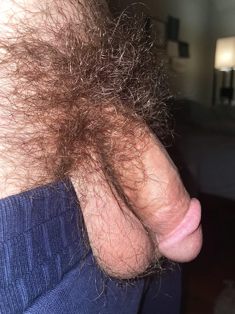 Convince me not to trim  posted by shadowbreather1