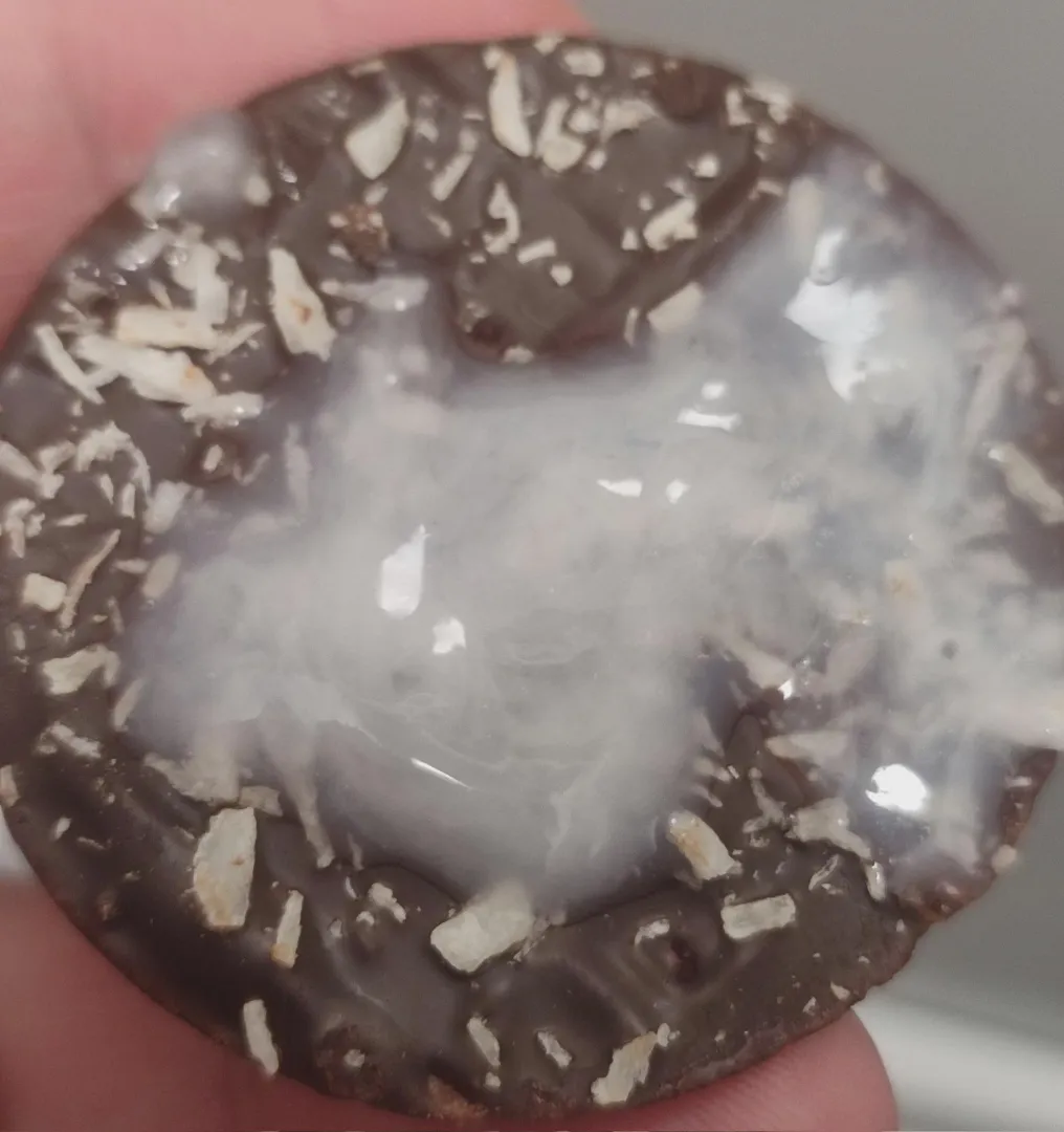 Cookie & cum posted by TorEtsk07