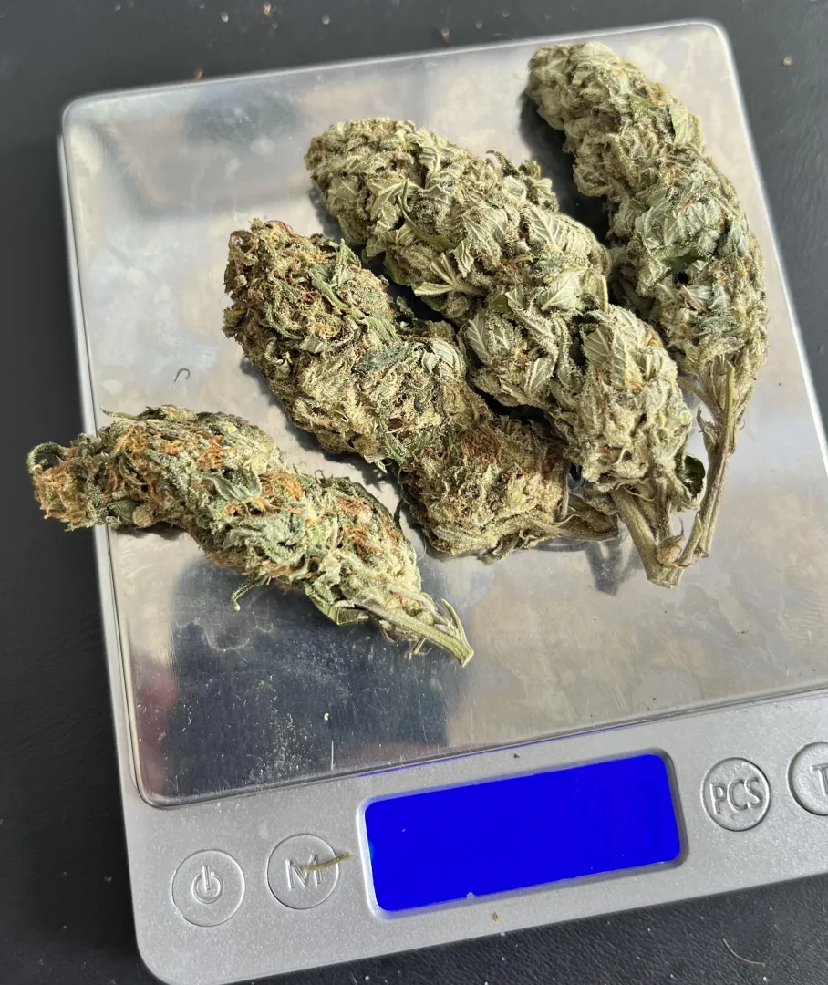 Corre do mês posted by ComprehensiveFan4597