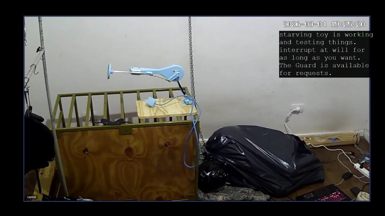 corset at its tightest, open mouth gag screwed in with a tongue depressor, a tube down its mouth and given 