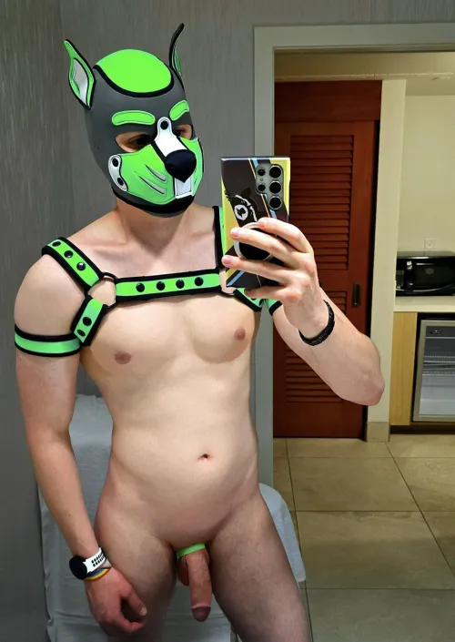 Could use a little tug  by Pupsequently