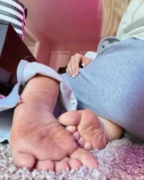 craving a send right now, go fetch loser idiot dog by scarlettangel44