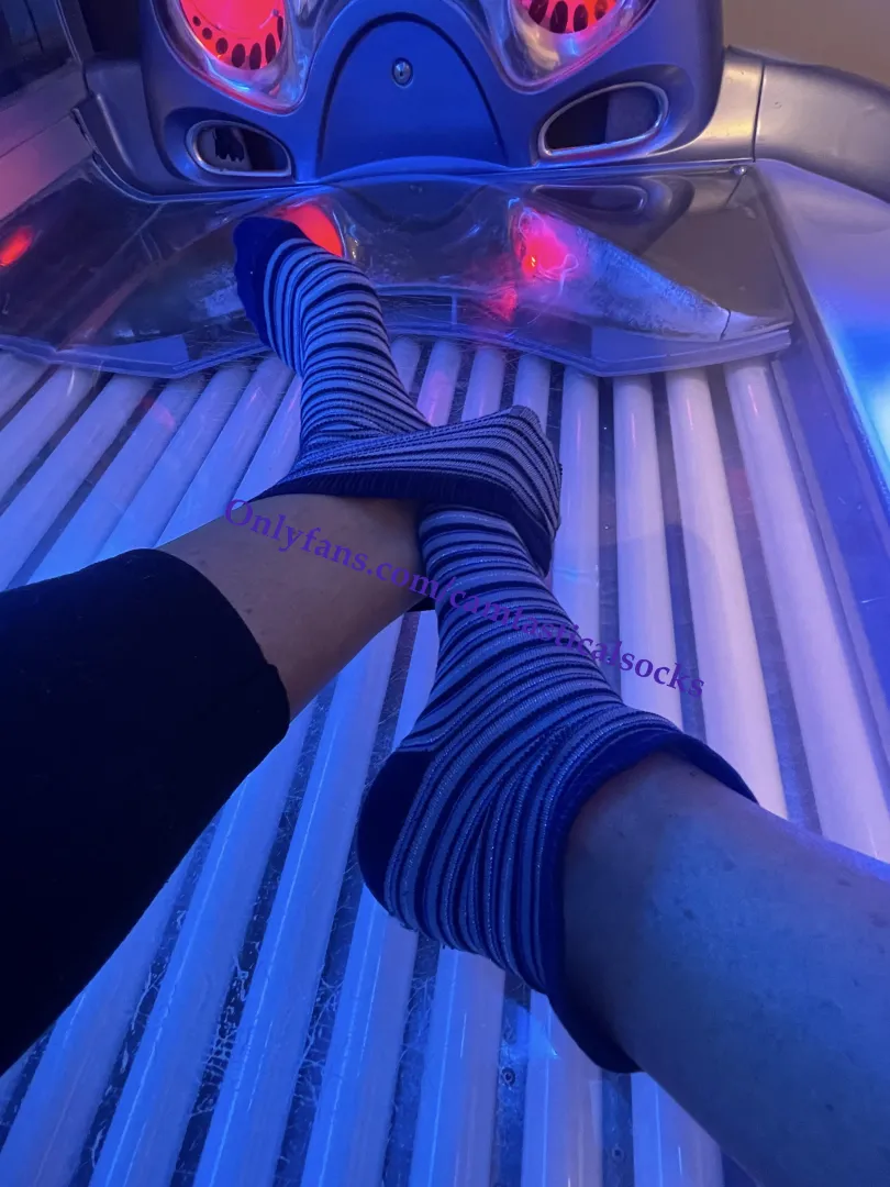 Crew sock season ;) posted by camtasticalsocks