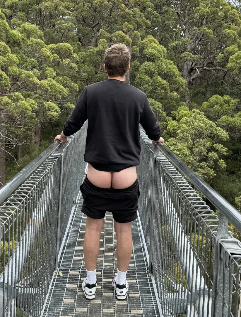 Crossing posted by Primal_Mantis