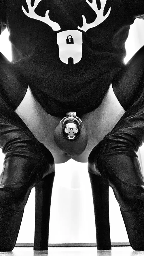 Cuck permanently caged for 7 yrs by cuckcpl65