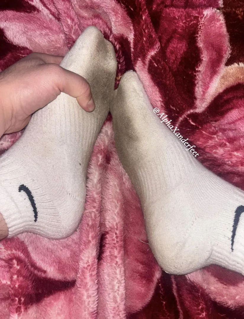 cum and get high with my perfect alpha scent  posted by CuriousBook3774