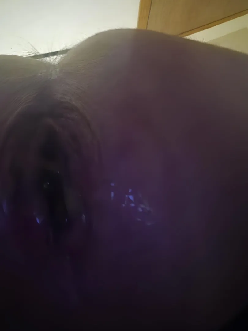 Cunty enough??? posted by juanwilbur