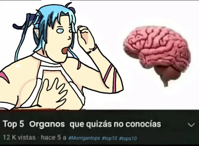 Curi by Salt_Task2988