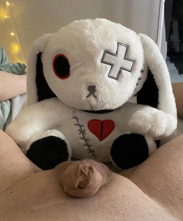 Curious new friend  posted by RebelRock79