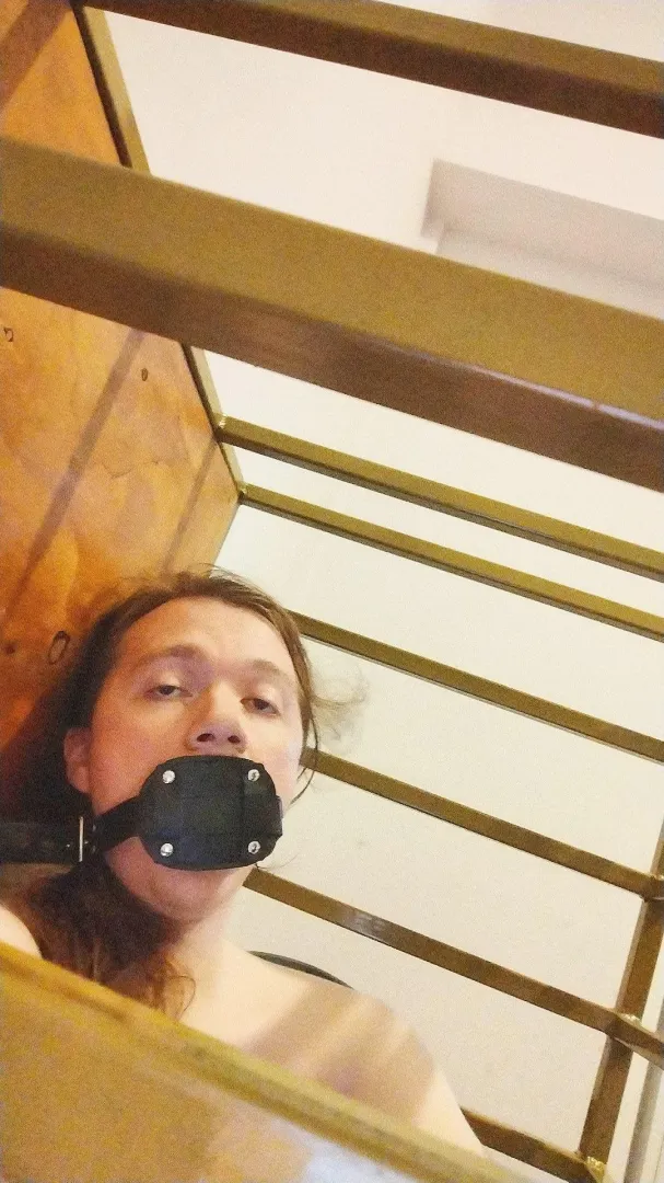 currently here, penis gagged for the last 2 hours, now waiting for timer to run out, hoping no patron orders it for longer bc it cant anymoreee posted by cruel_captive