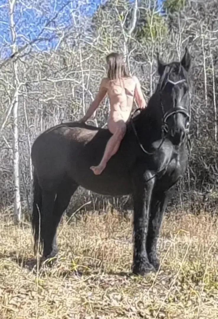 cut and lean because how else would I stay mounted on this guy posted by untamedhearts