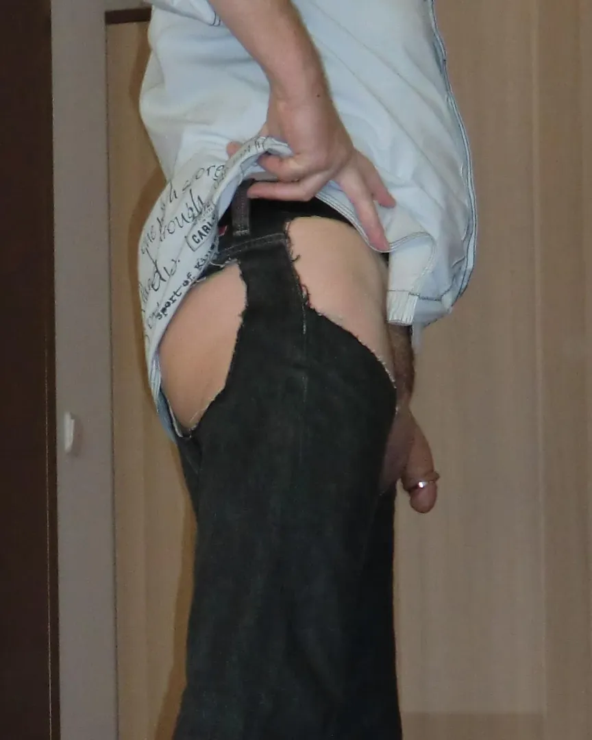 Cut out 2 posted by Neither_Ant_3909