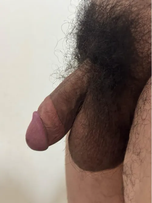 Cut unshaven semi by Cut_polybull