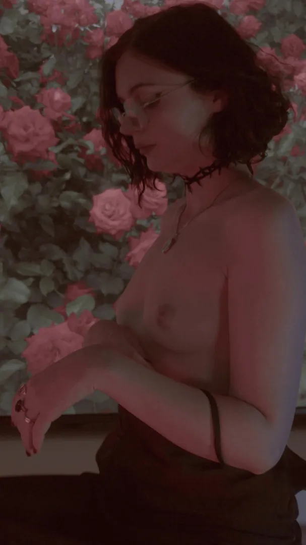 Cute and small no matter the angle posted by Miniature_Girlfriend