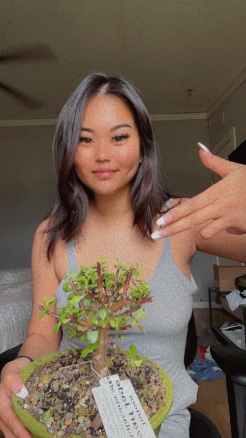 Cute domme with cuter bonsais  come add to my collection  by Flimsy-Season-8188