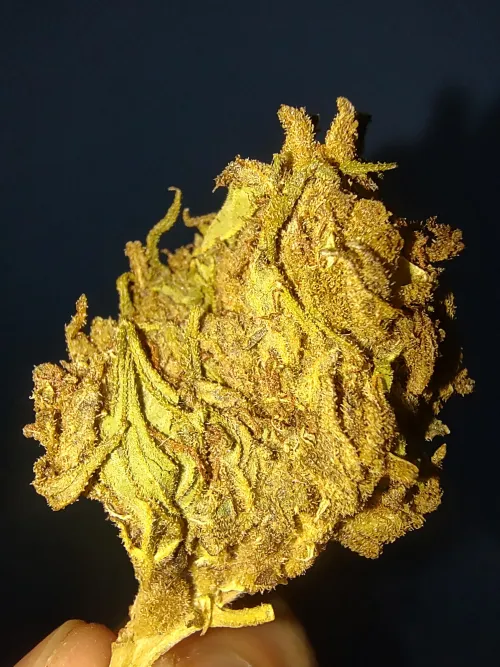 Da até dó de fumar by oGever