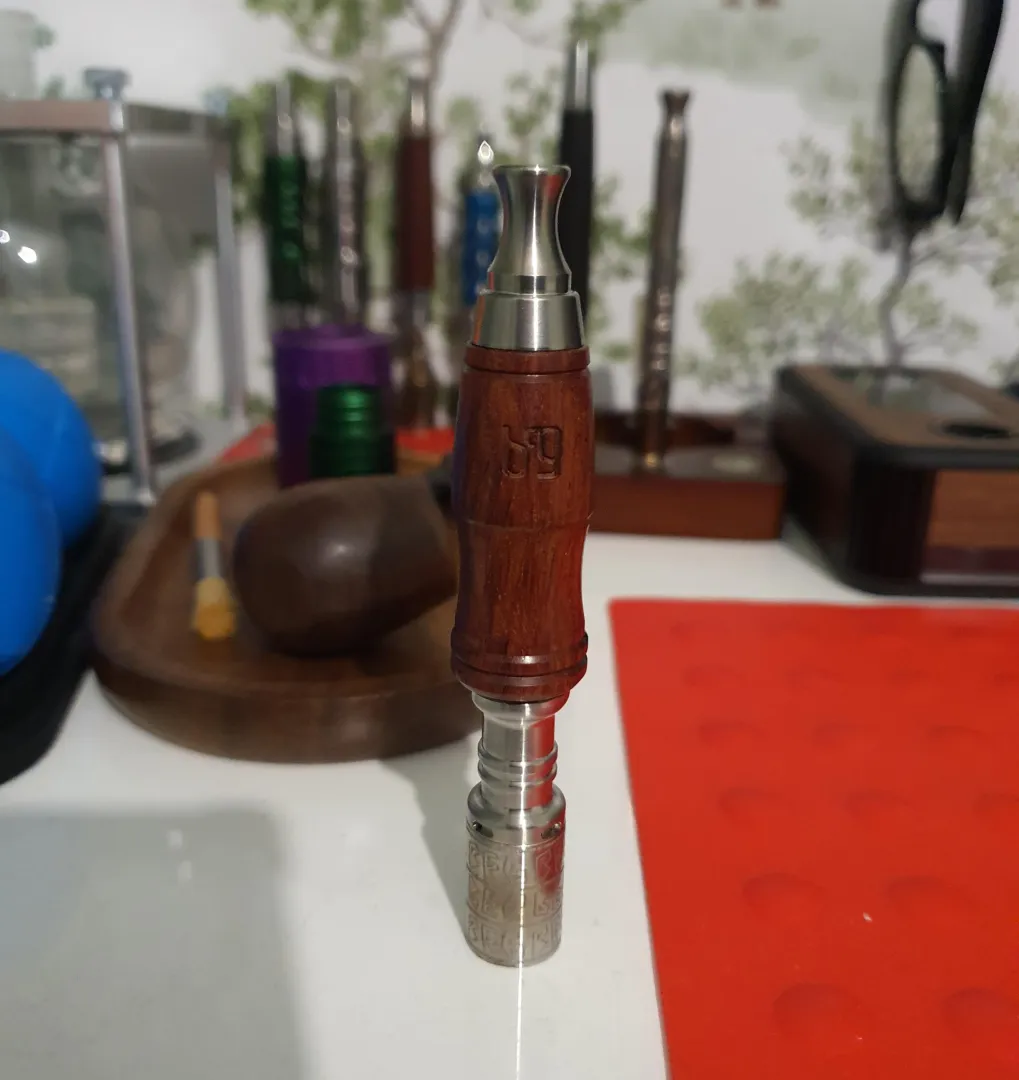 Dani punch 2.0 posted by Responsible_Break303