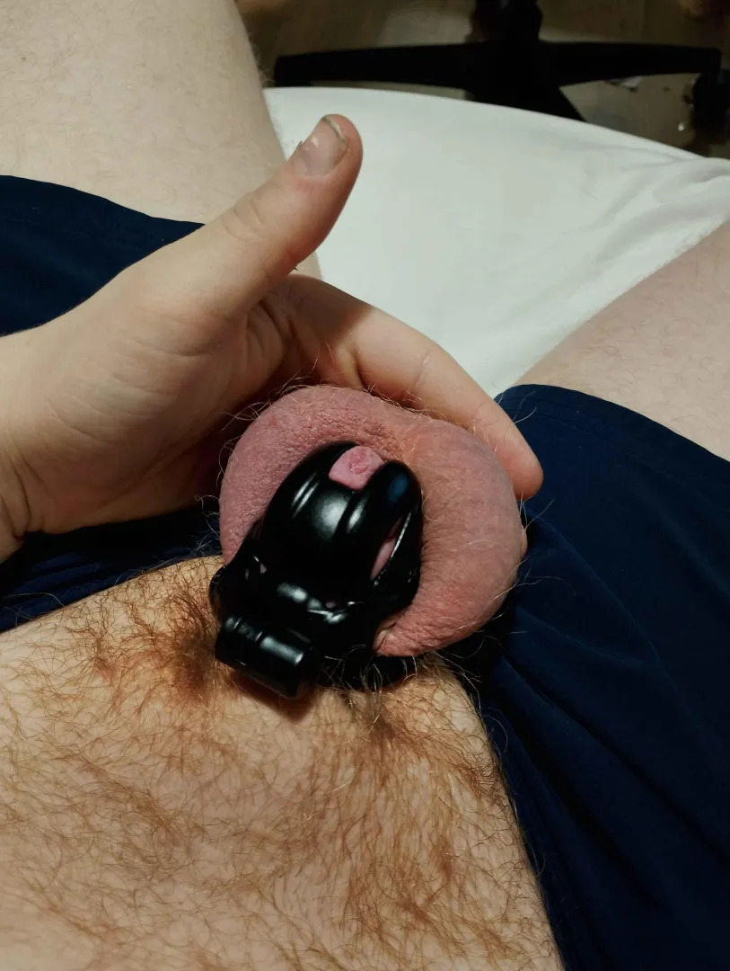 Day 1 Update posted by Weird_Election2272