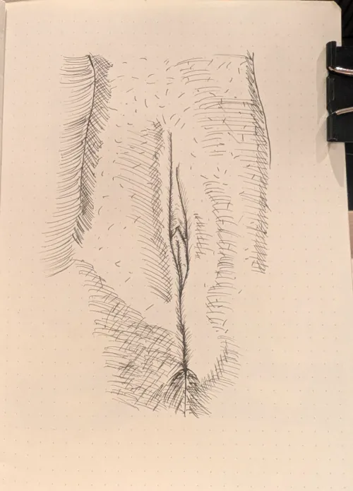 Day 24 - Close-up study by BarbwireLemons