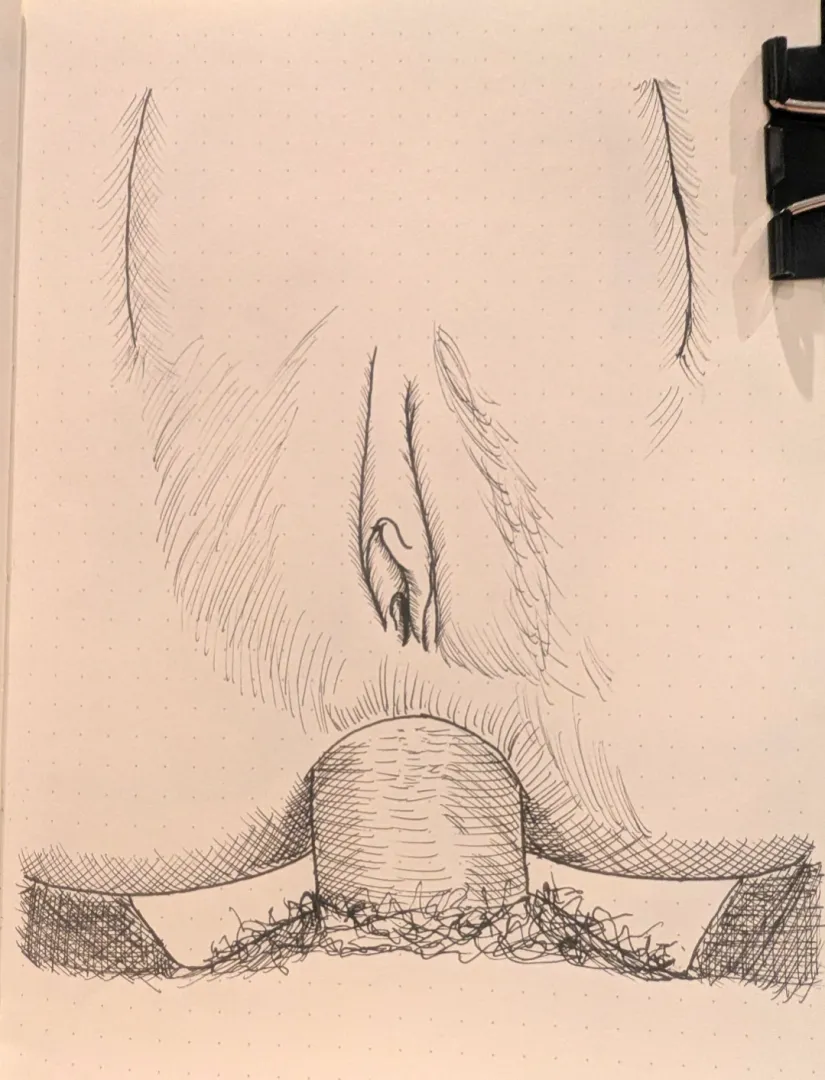 Day 26 - Close-up anal posted by BarbwireLemons