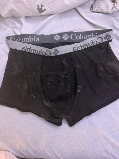 Day 3 progress 5 ish loads by Cautious-Couple-2025