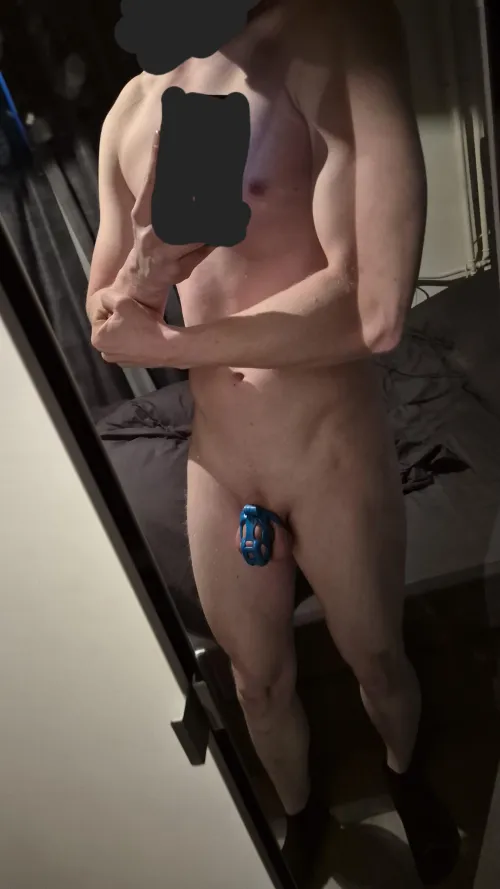 Day 3/21 of staying chaste for gym motivation Hit back, bicep and shoulders today by alt2504