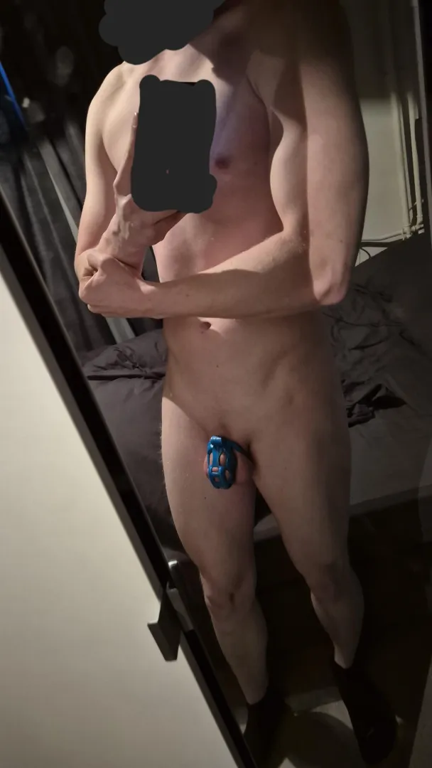 Day 3/21 of staying chaste for gym motivation Hit back, bicep and shoulders today posted by alt2504