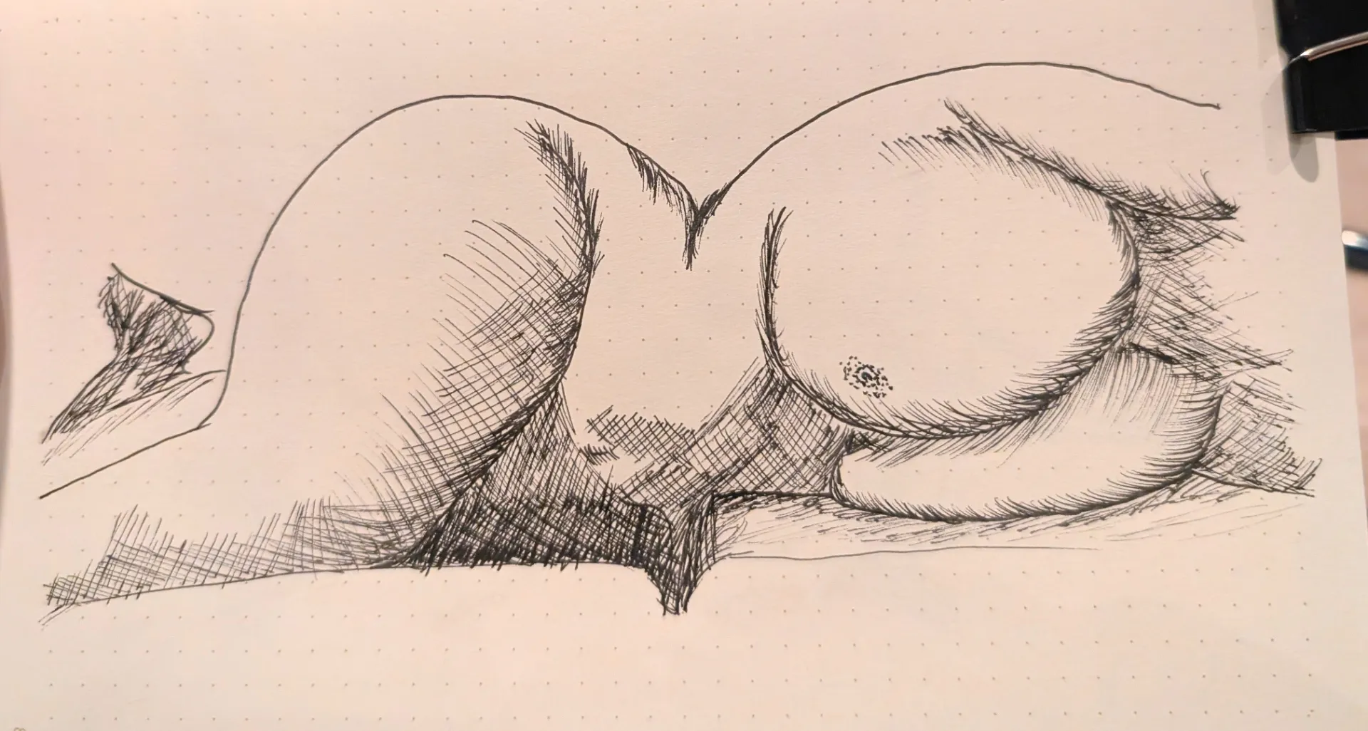 Day 41 - rest day posted by BarbwireLemons