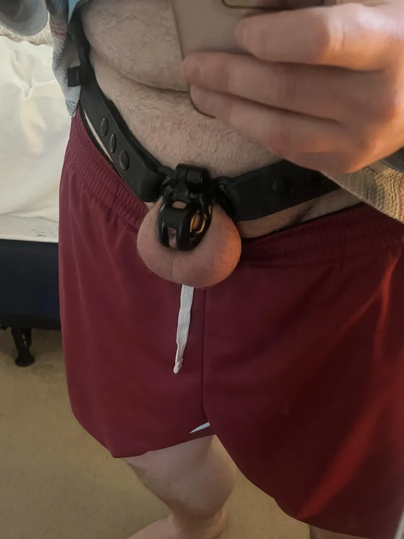 Day 5 of my first full week posted by Ecstatic-Knee3931