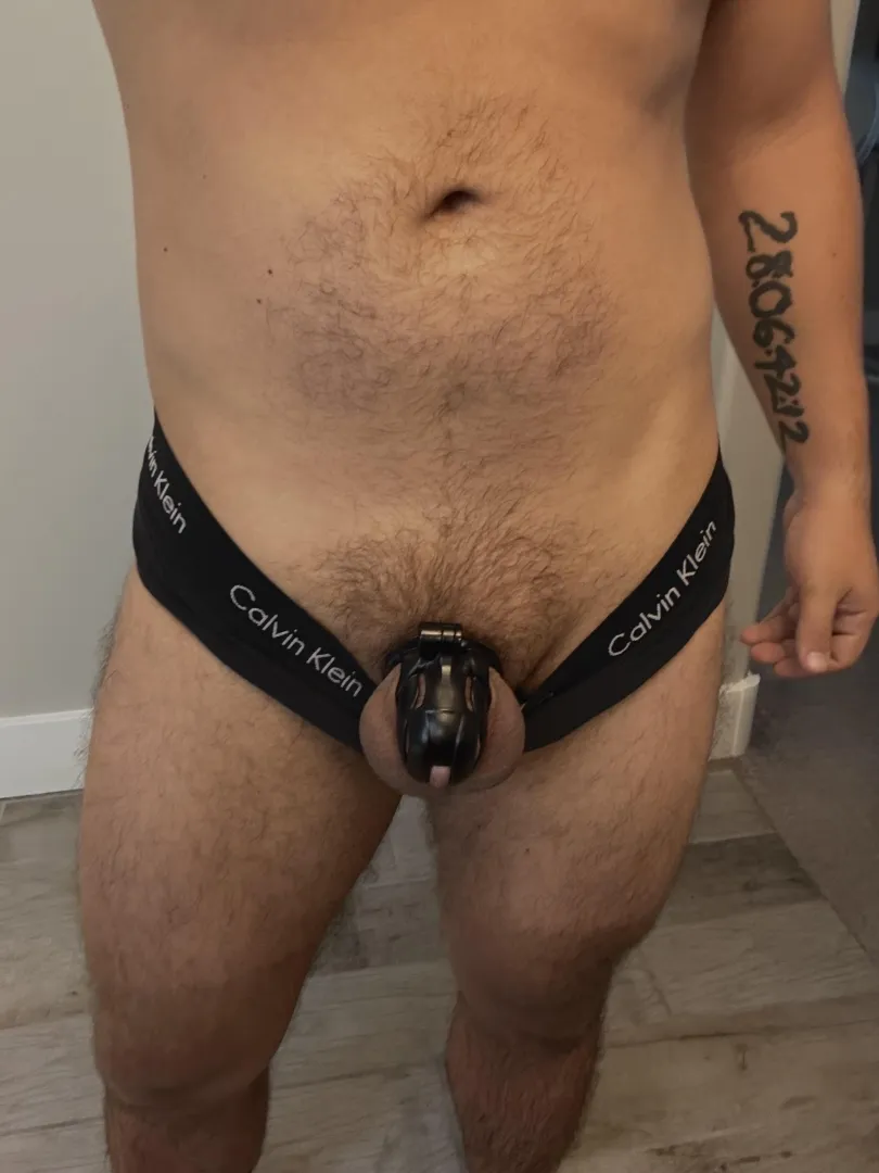 Day 56/102 posted by azffun