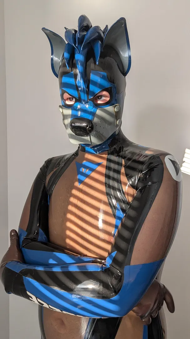 Deep in thought posted by dogboyvero