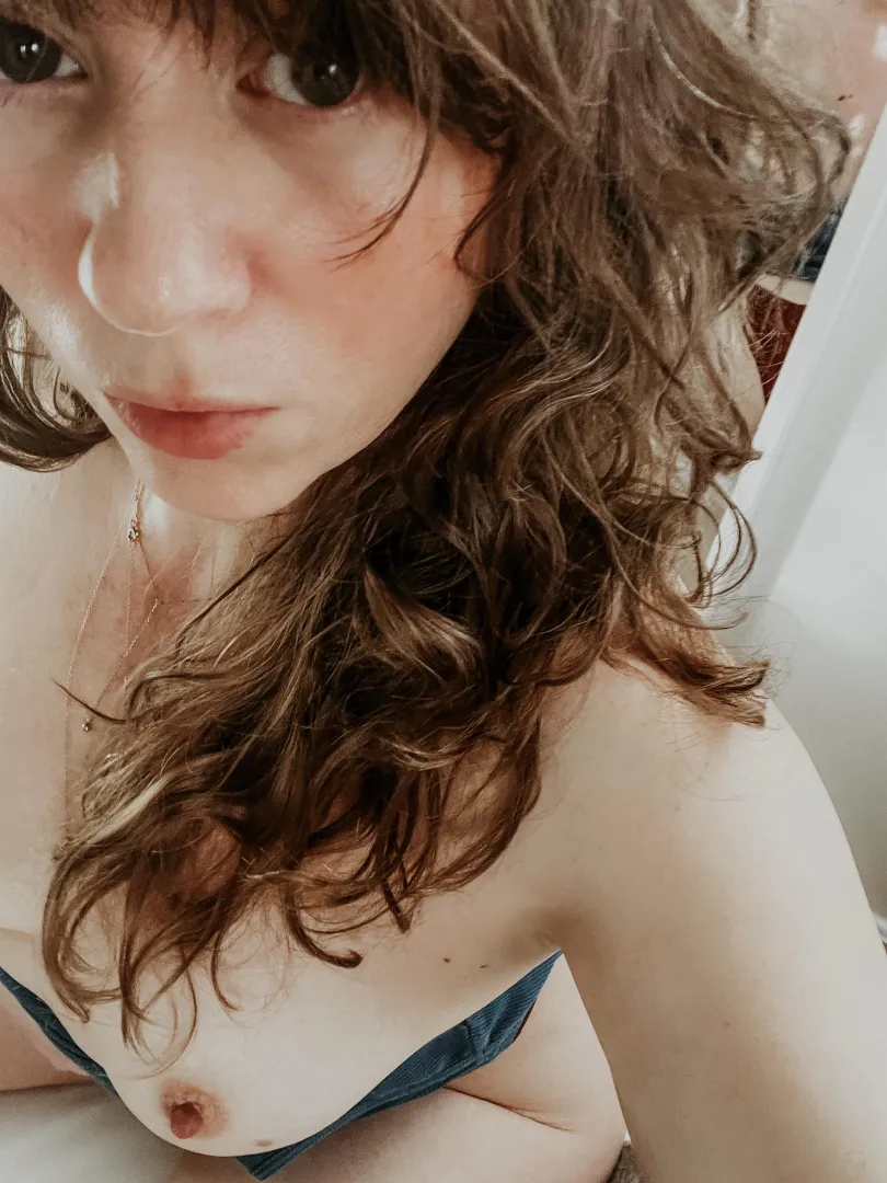 Deer in the headlights ✨ posted by babycatsarekittens