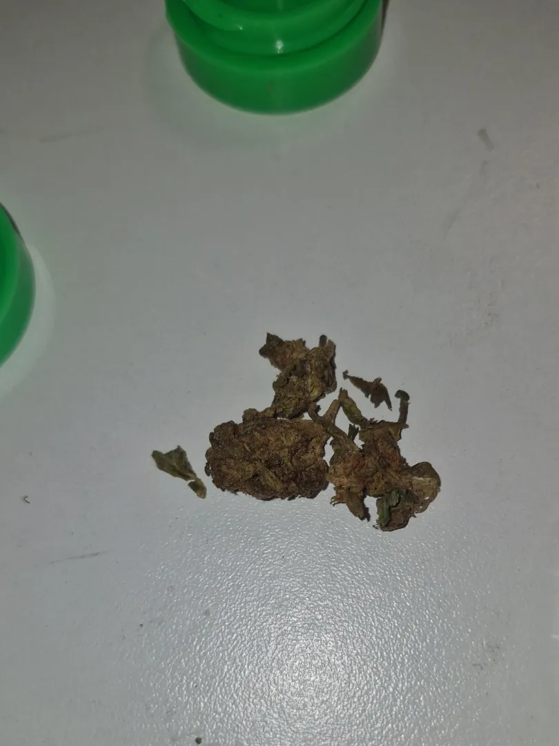 Devo procurar outro local? posted by honoPZ