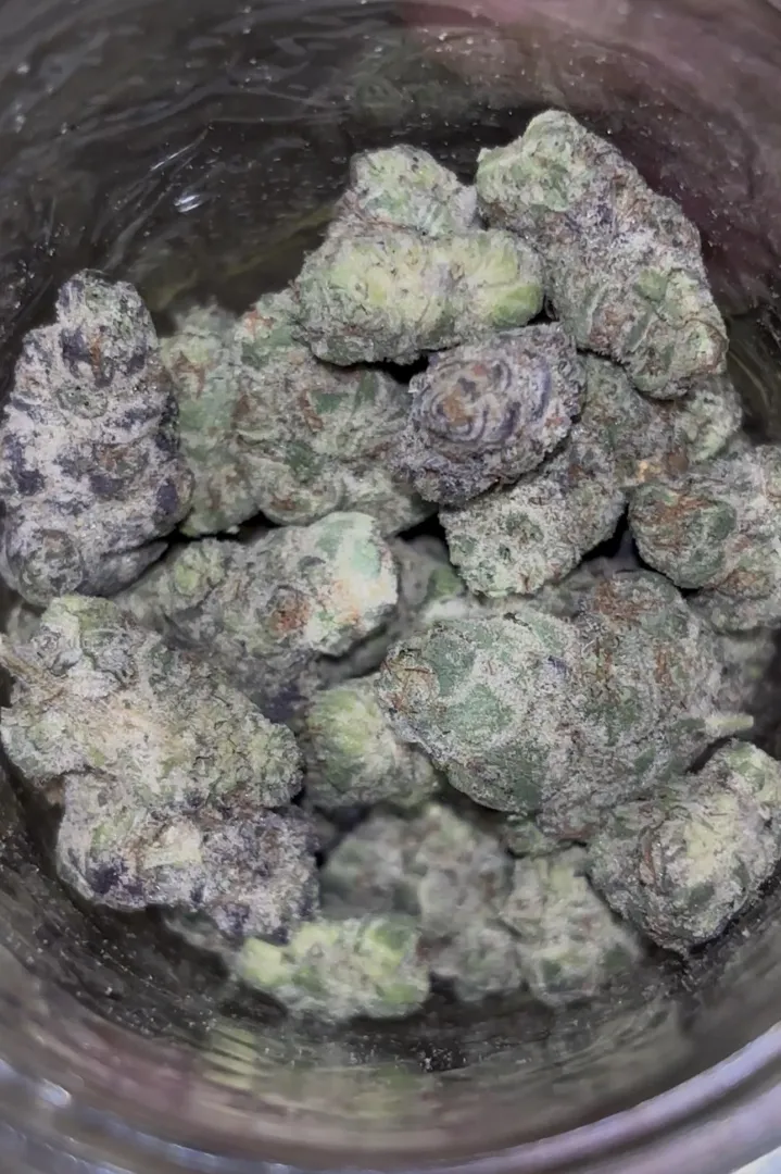 DG “Strawberry Panda Gelato” posted by Select-Refrigerator8