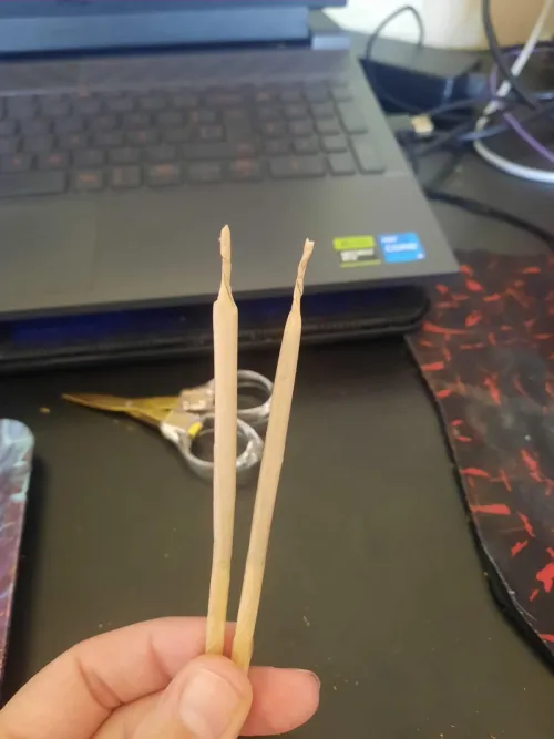 Dia 65/01/2026 by Fancy-Row-7757