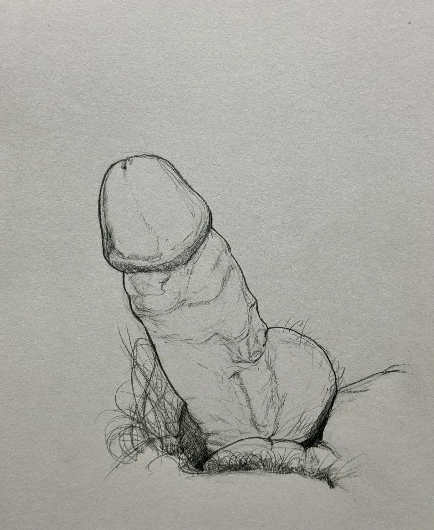 Dick pic - a sketch by me posted by Spicy-Homebody