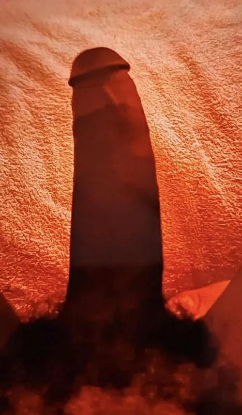 Dick so hard who’s free and hosting in the morning by gut_beater9661