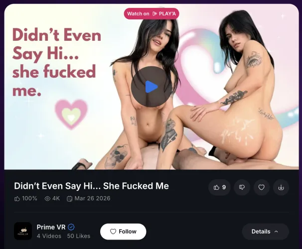 Didn’t Even Say Hi… She Fucked Me by epicvr-studio