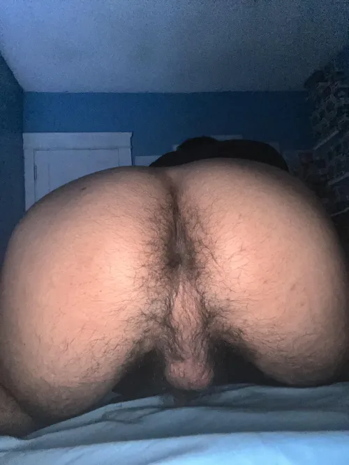 Didn’t shower for weeks come smell this stinky pussy bro‍ by zakelolzz