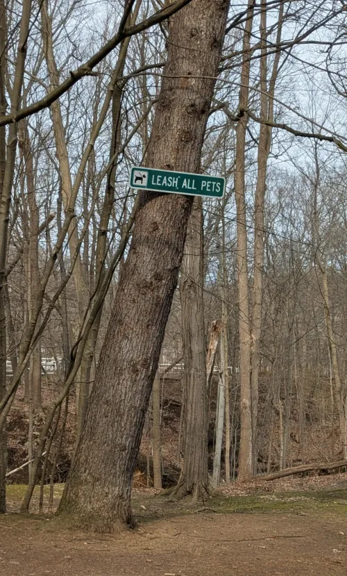 Different strokes for different folks by DonLeaky