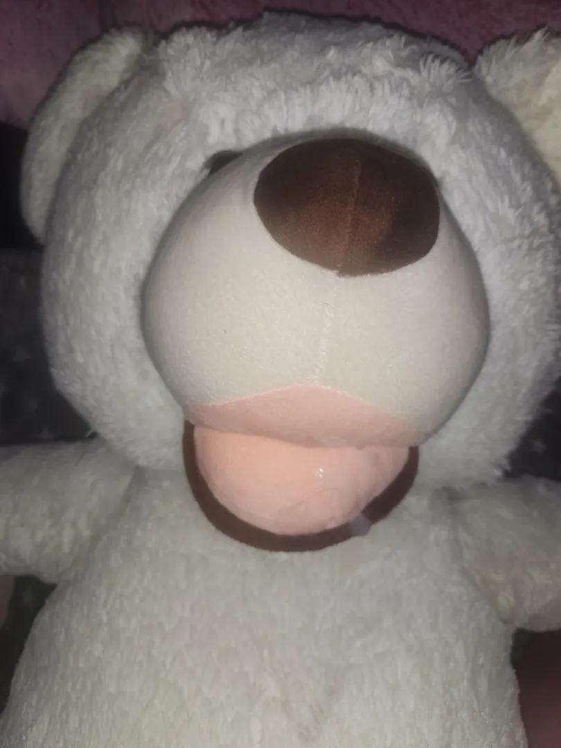 dinner posted by Playful_Ship9218