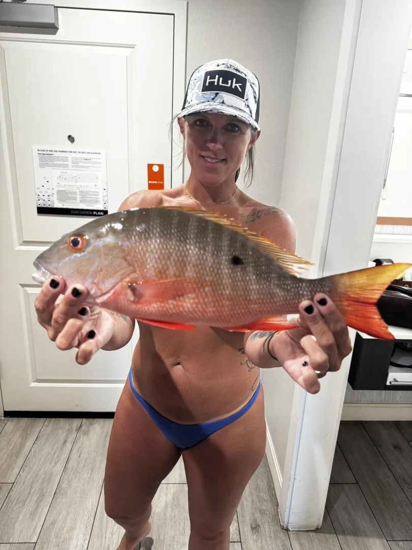 Dinner saved…. Key West. posted by Binded_Blonde