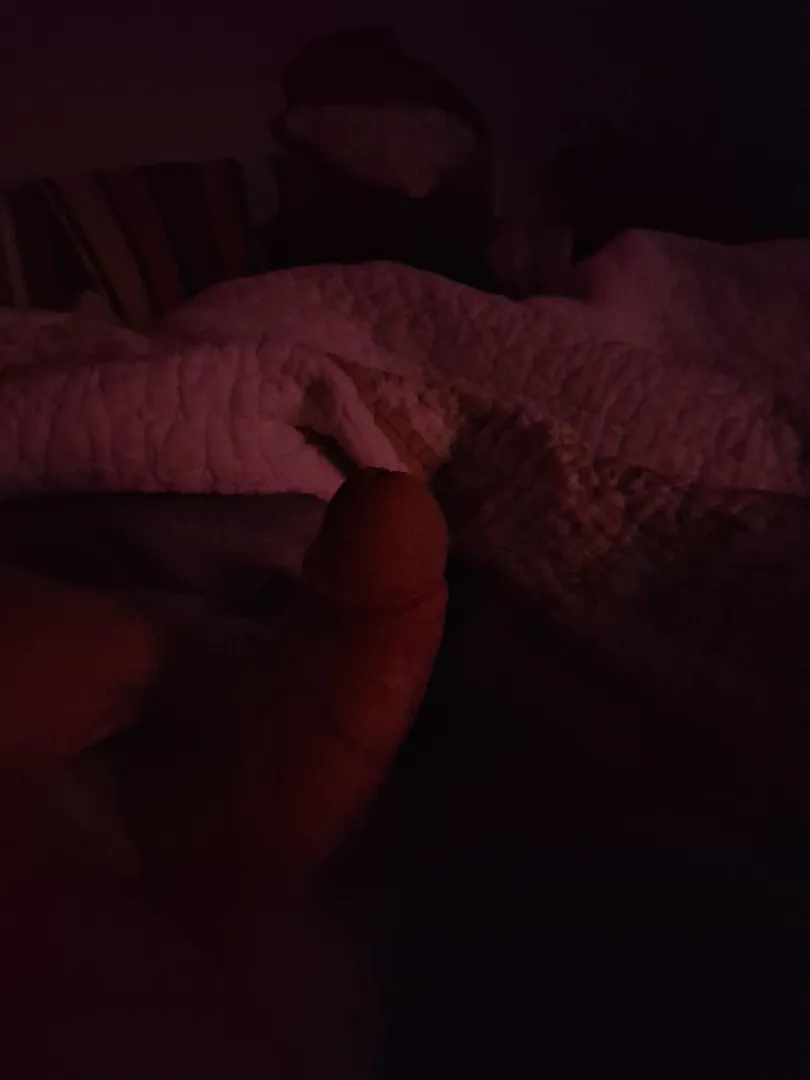  Discreet Bi Dadbod – Nashville – Daytime Regular posted by Fast-Calligrapher630