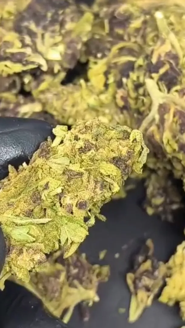 Diz ser purple haze. É da boa? posted by Aetheriusman