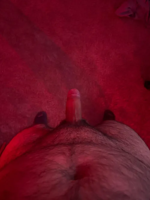  dms alwys open just imagine yourself on your knees tho  by Ok_Mushroom_2215