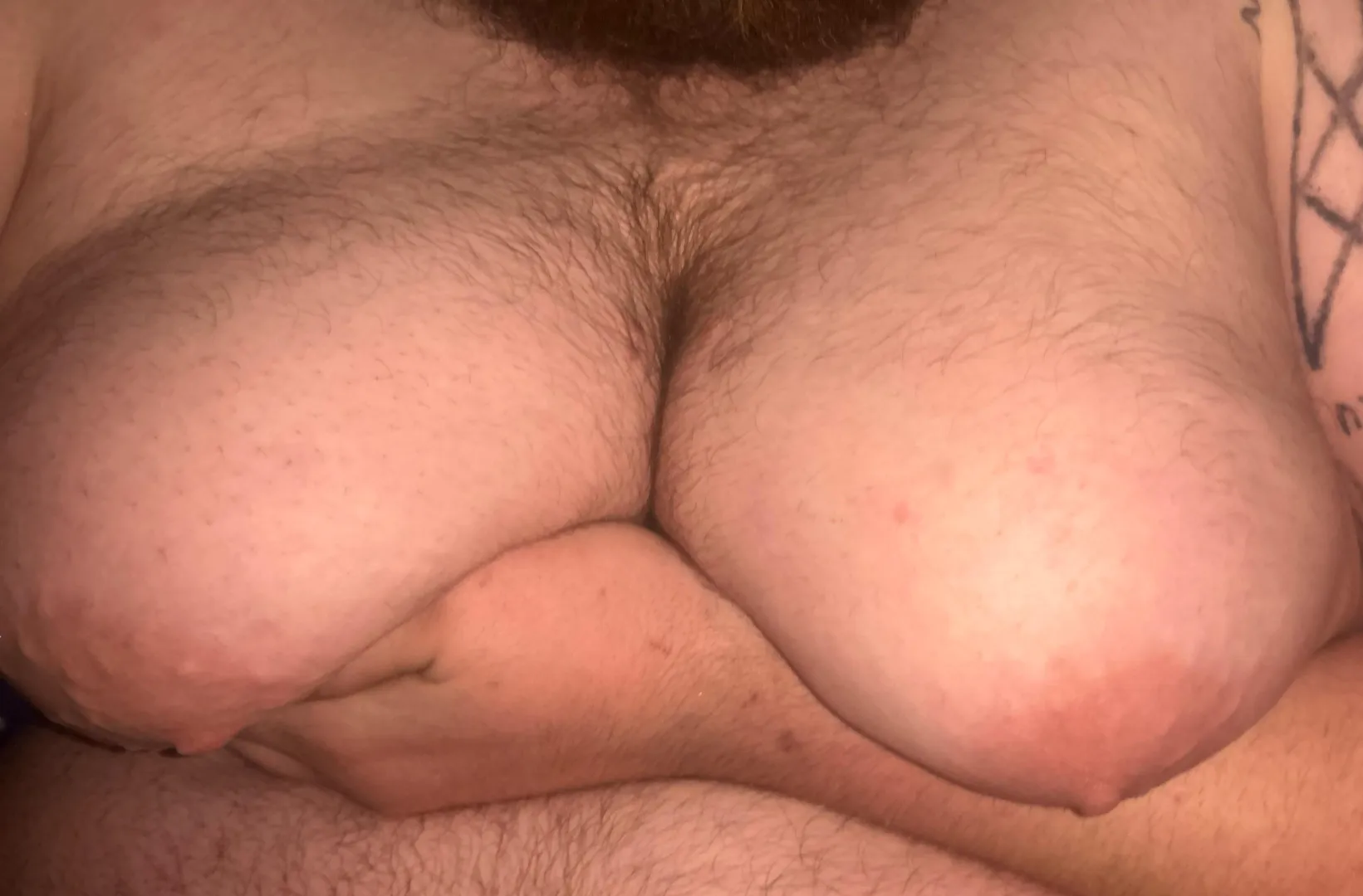 Dms open what would you do if I couldn’t say no posted by Melodic-Inside2789