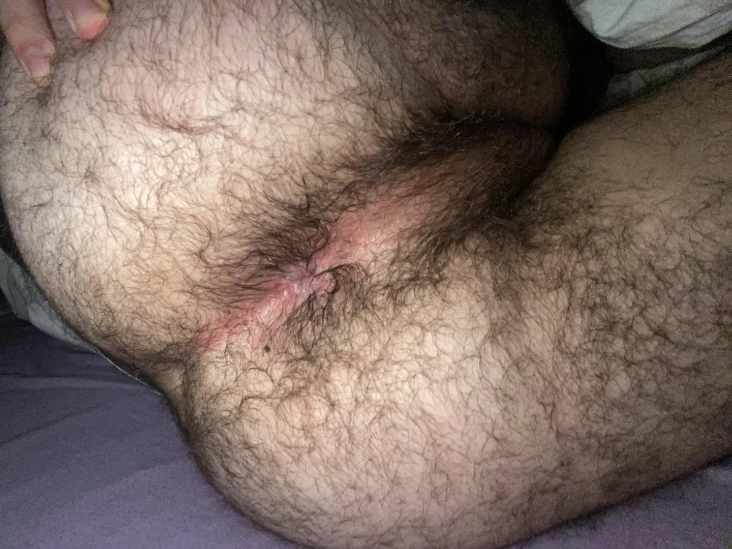 do boys love hairy sweaty holes? posted by Proof-Education-4866
